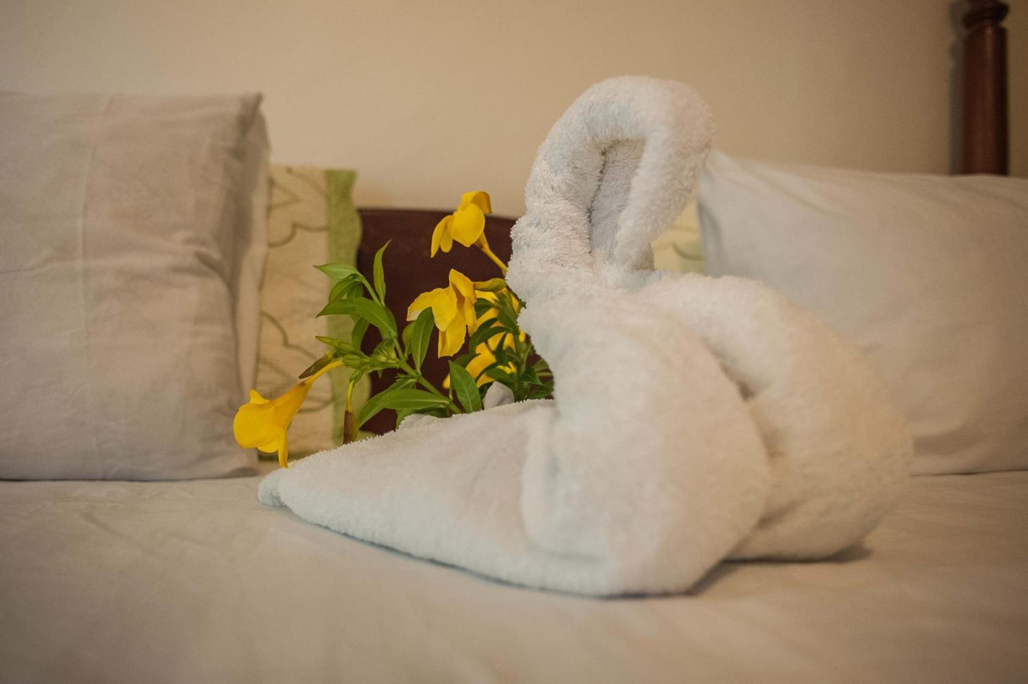 Clarridge View Guesthouse Бухта Монтего Экстерьер фото